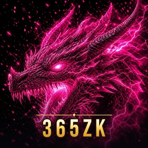 Performa 365zk
